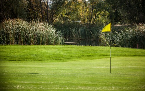 GC Hainburg: Spezielle Winter-Angebote